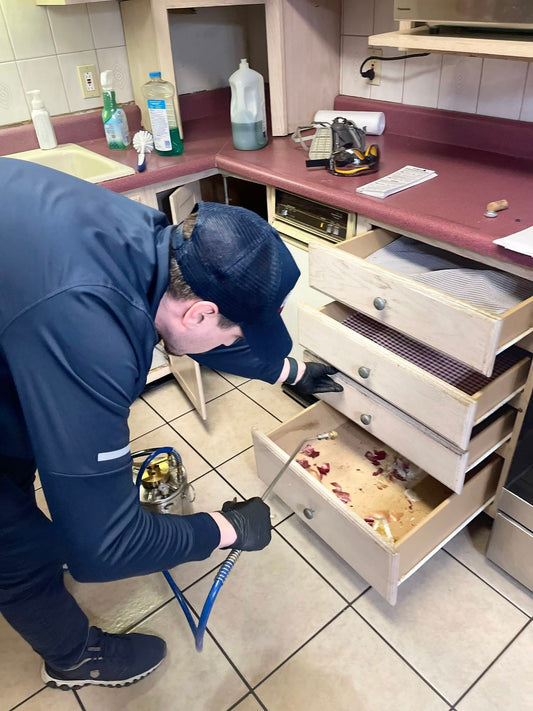 $50 for $100 at Devlins Pest Control