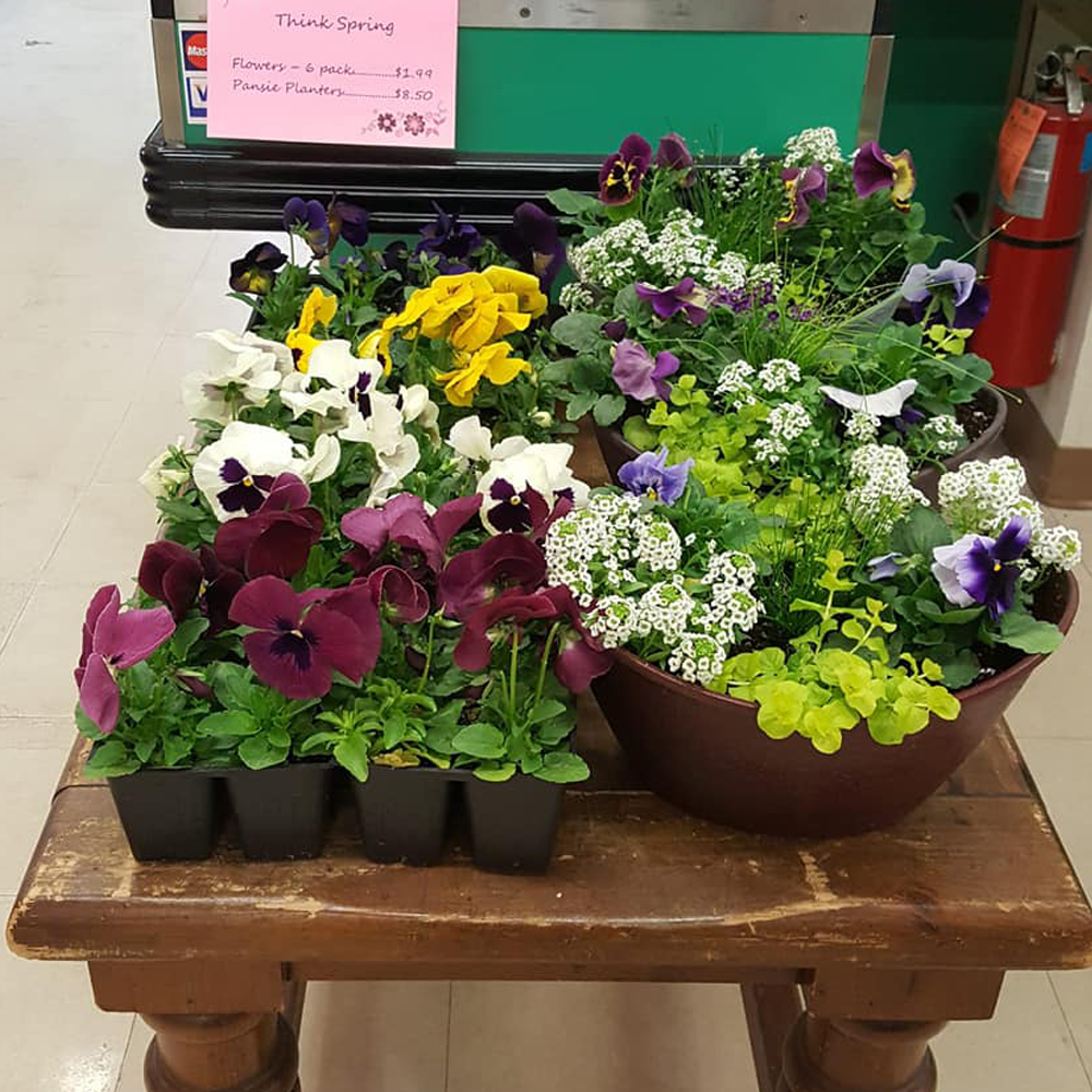 Willow Creek Grocery | Reinholds PA 17569 | $20 coupons | AvidDeals