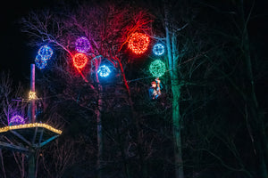 Christmas Lights Zipline for 4!