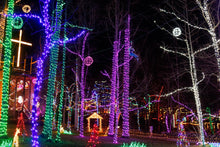 Christmas Lights Zipline for 4!