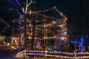 Christmas Lights Zipline for 4!