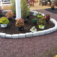 $25 for $50 at Mountain View Mulch