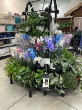 $10 for $20 at Farmstead Flowers